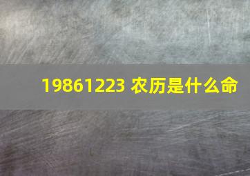 19861223 农历是什么命